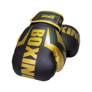Guante Boxeo 10 OZ